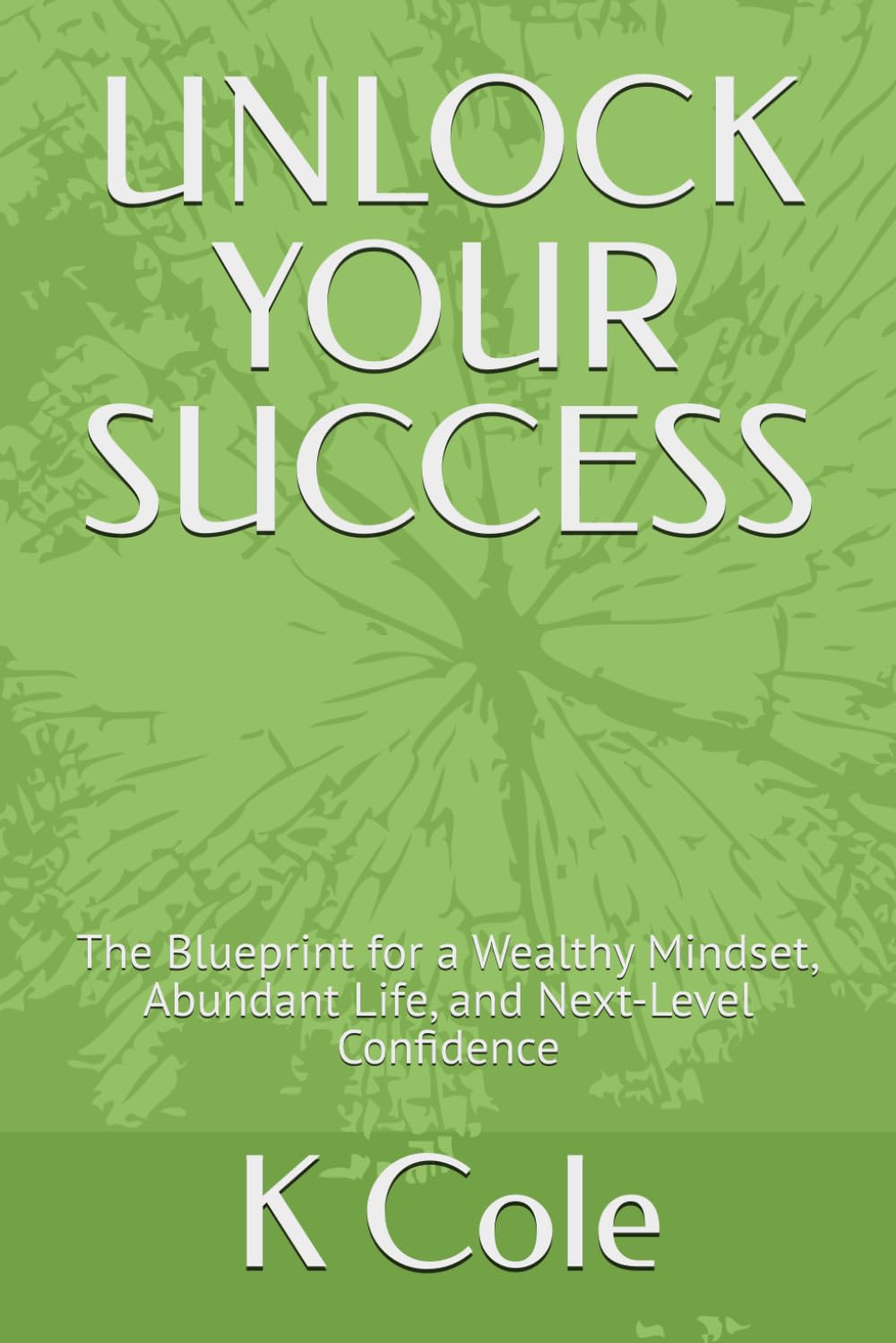 UNLOCK YOUR SUCCESS: The Blueprint for a Wealthy Mindset, Abundant Life, and Next-Level Confidence