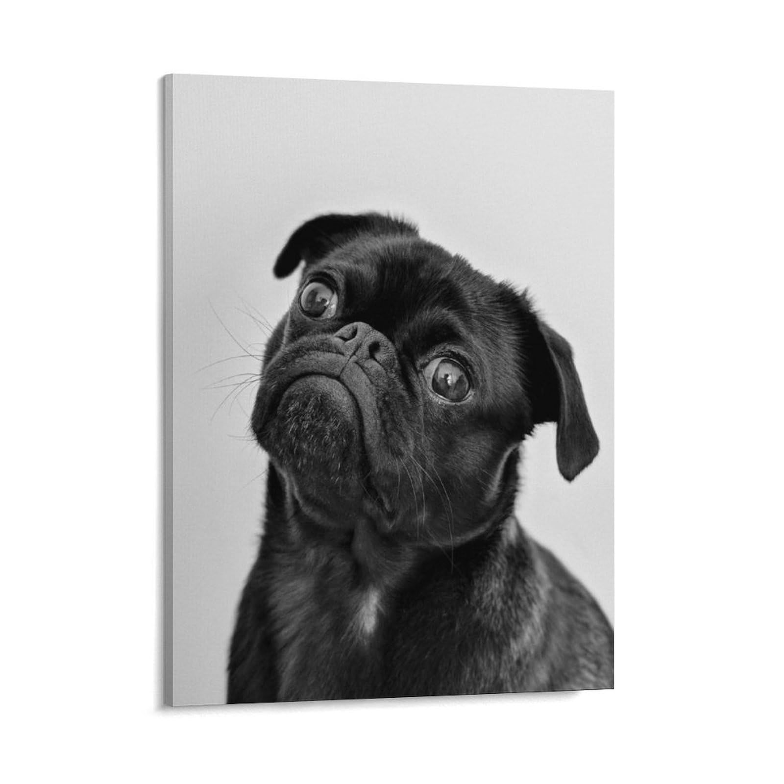 JiuPopular Framed Canvas Wall Art,Cute Black Pug Dog Cute Cat Cute Corgi Cute Hedgehog Cute Penguin Cute French Bulldog Cute Pug Dog Dalmatian Dog Bones Paw Prints English Bulldog Dolphin Train Flag O