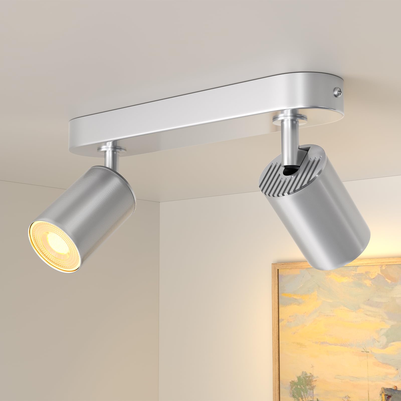 JVURICE Deckenlampe Flur Küche Schlafzimmer, 360° Drehbar & 90° Neigbar Deckenspot GU10, 100W Max, Metall Aluminium, Deckenstrahler Lampen für Wohnzimmer, Bad, Flur (Silber, 2 Flammig)