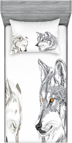 Miniatura 180 de Ambesonne Juego de sábanas bajeras y fundas de almohada, dibujos de aviones antiguos, vuelos clásicos con fechas, estilo vintage, diseño nostálgico,