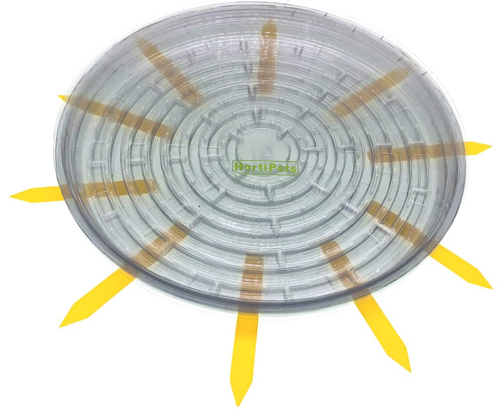 HORTIPOTS Pflanzen-Untersetzer, 35,6 cm, Kunststoff, transparent, 10 Stück