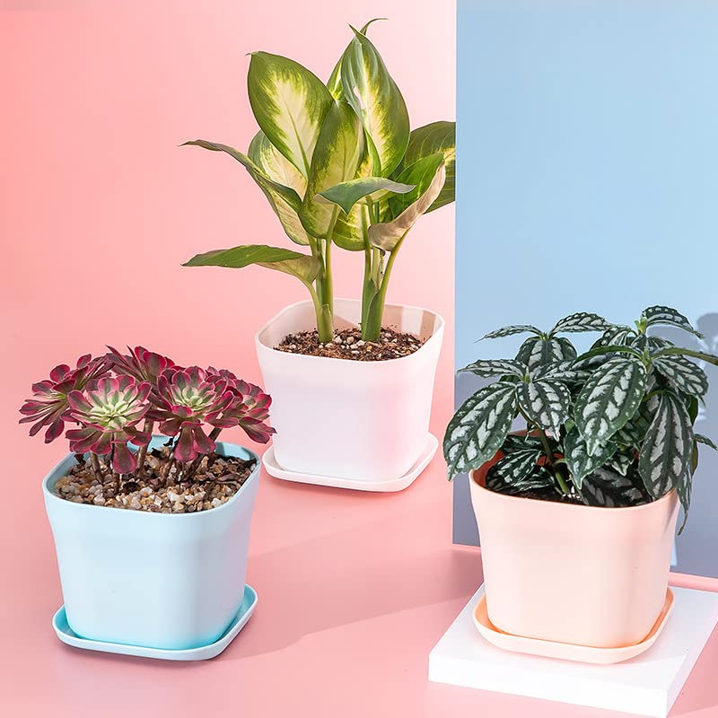 BSTMOME Plastic Plant Seedling Pots,Square Plants Nursery Pot, Flower Pots with Saucer for Balcony,Garden,Home Decor (White) - Image 3