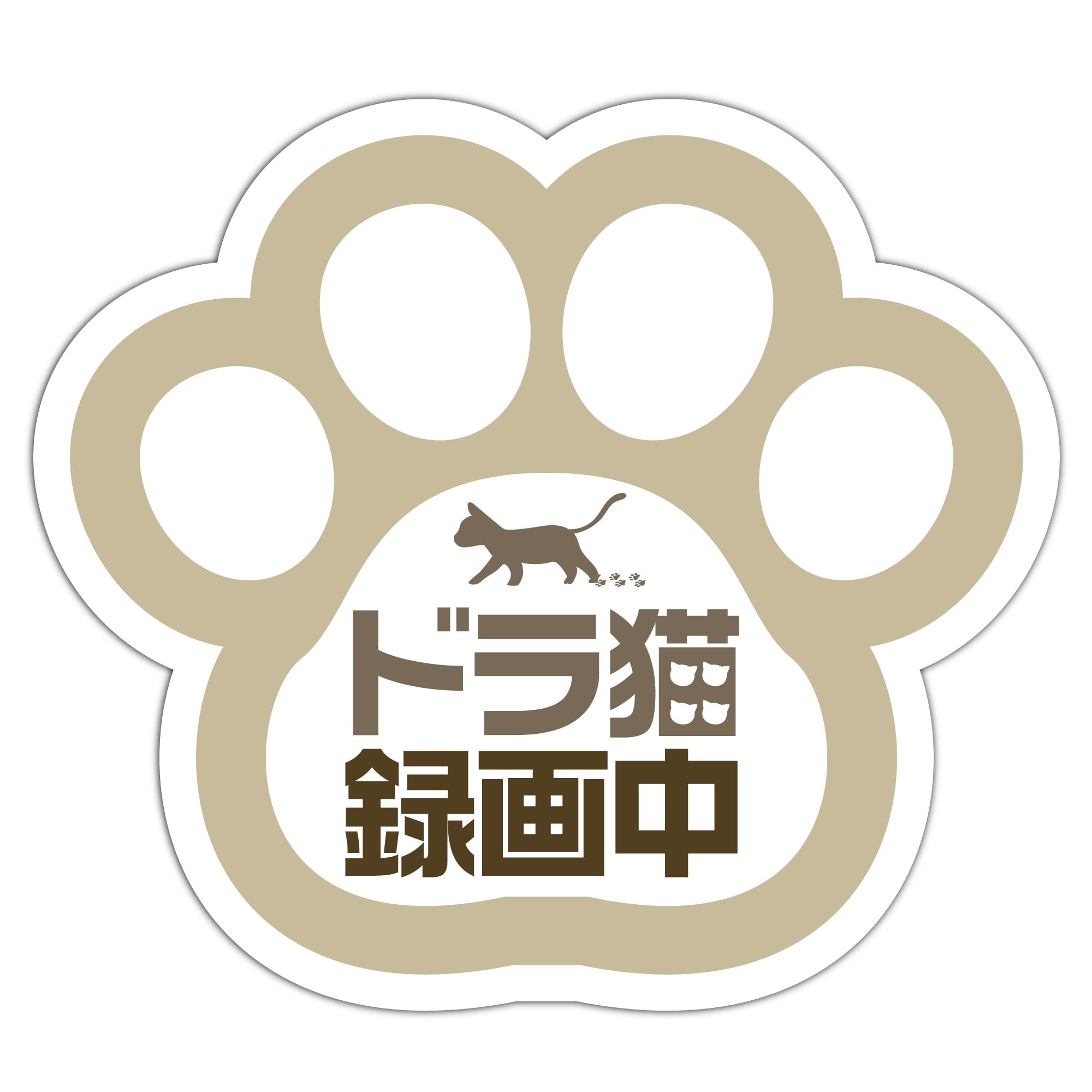 トラ猫ゴロー 🐾 こんにちは☺︎ 朝早くから沢山運動したからねฅ•ω•ฅ おやすみ