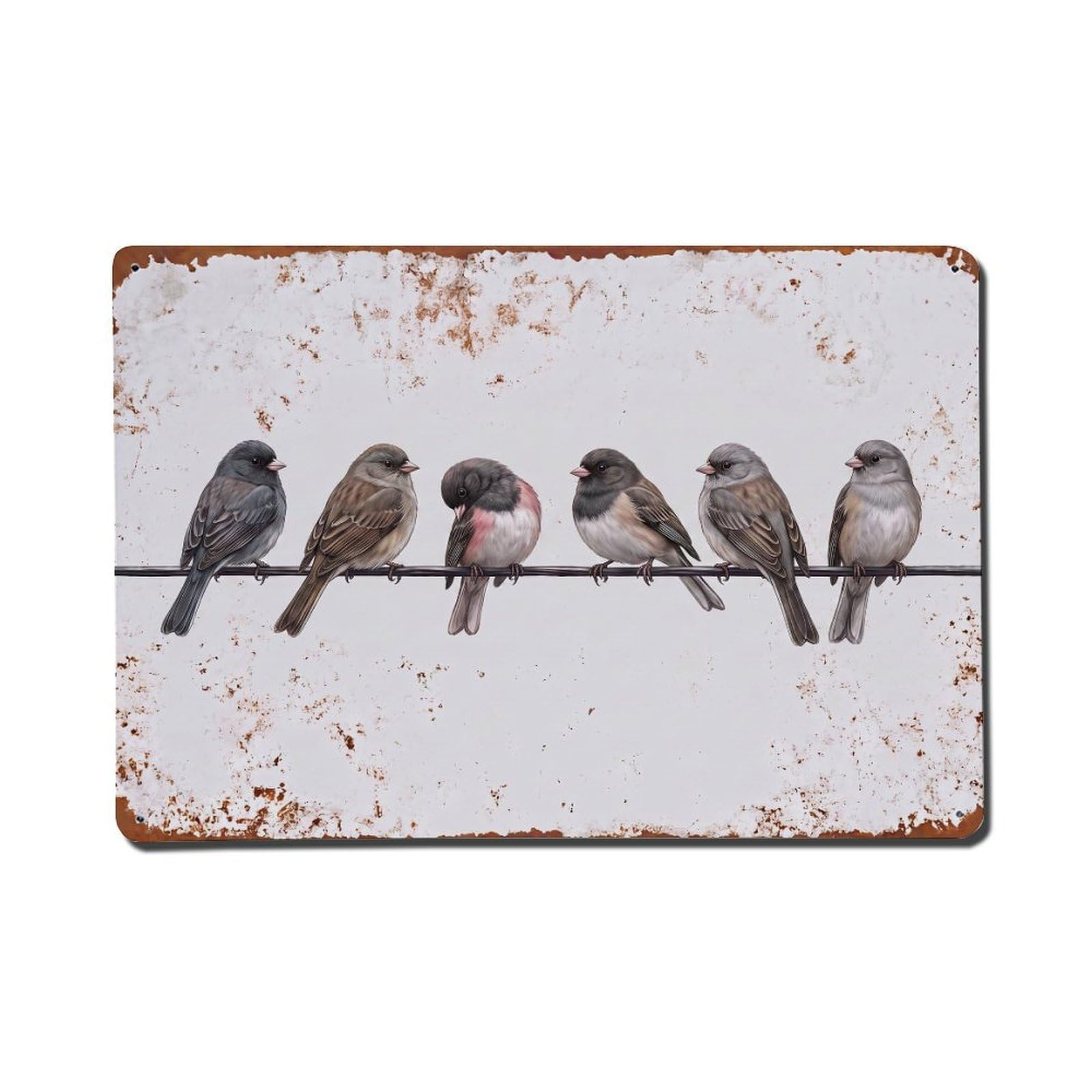 Vintage Retro Birds Junco Metal Tin Sign