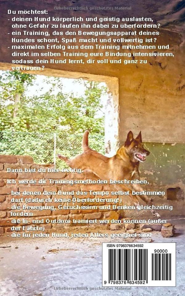 K9 Training für den Alltag: „Bereichere das Leben deines Hundes durch diese kognitiven Übungen“
