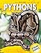 Produktbild Pythons (Xtreme Snakes)