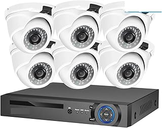 HMULTI Wireless Security Camera System 4K Security Camera System 8MP Face Detection POE Video Record NVR Kit Outdoor Metal Dome Home Human CCTV AI Camera (Size : None, Color : 8CH NVR 6 AI Camera)