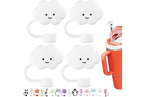 Infused Cloud of Protection for Your Stanley Cup Straws