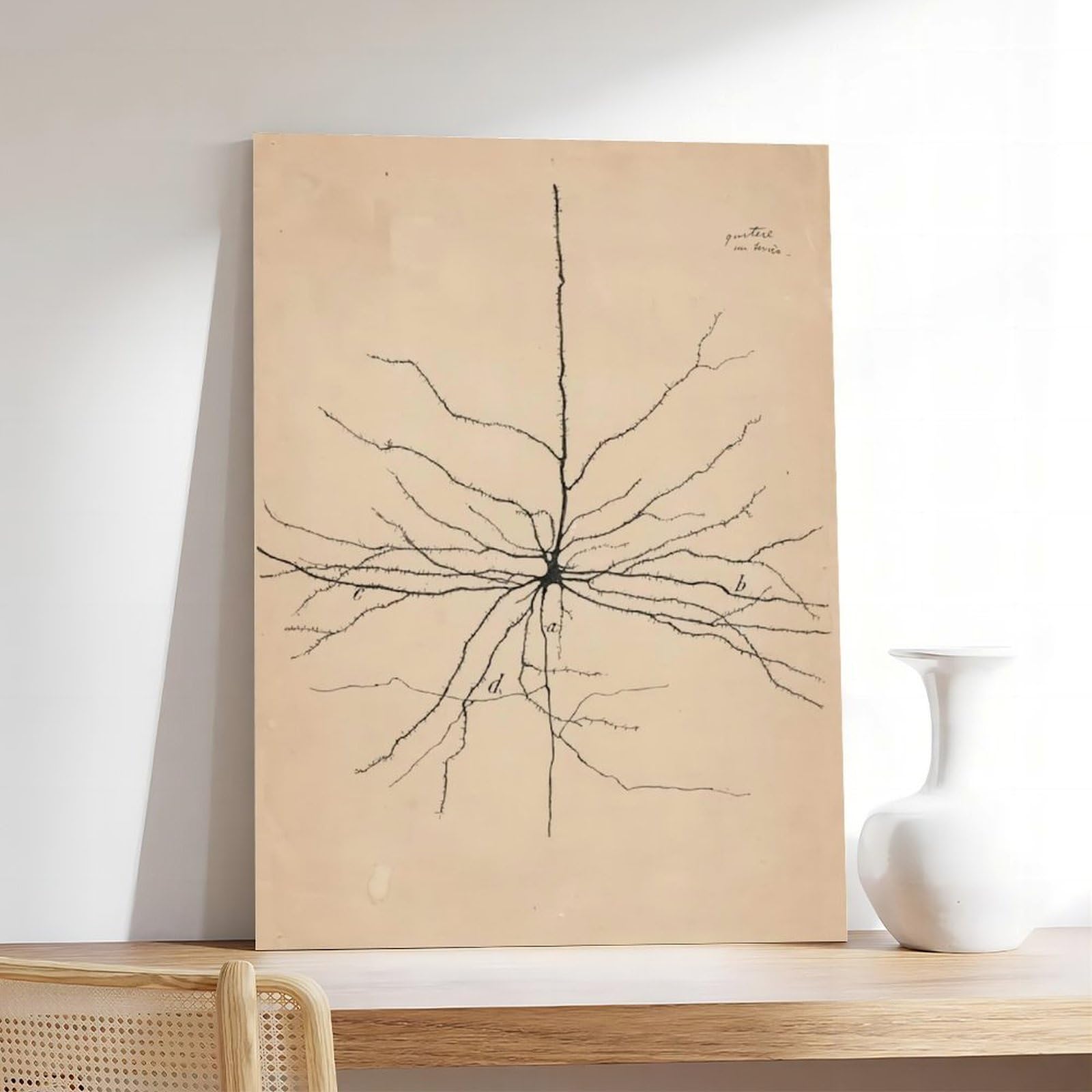 GIEIG Pyramida Neurona Dibujo de Santiago Ramón Y Cajal Póster para Estética de Habitación Lienzo Arte de Pared Marco de 12 x 18 pulgadas (30 x 45 cm)