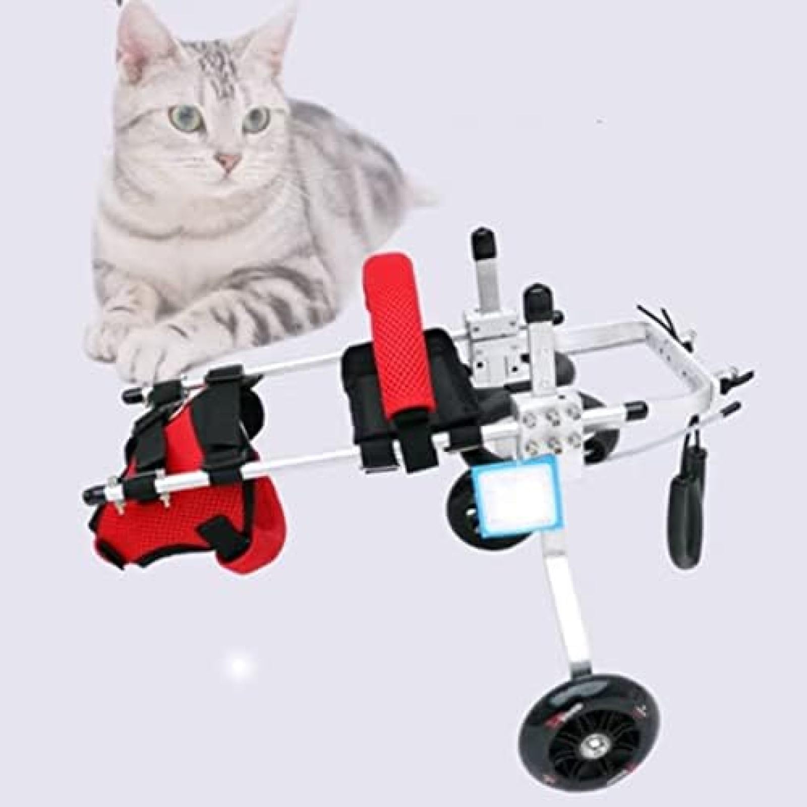 Amazon.co.jp : 小型犬用車椅子、障害のある犬、猫、ウサギのリハビリ