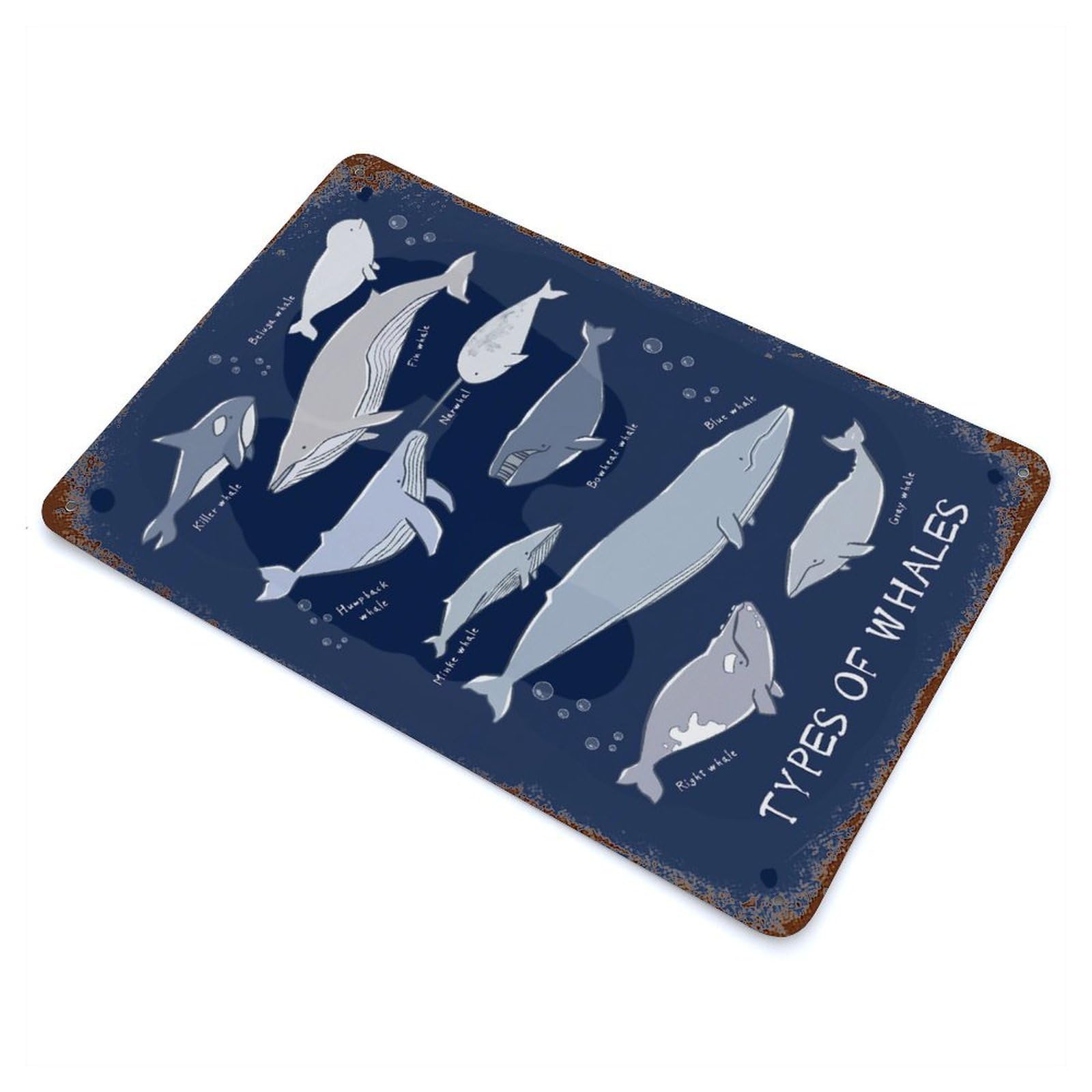 Types of Whales Fishes Rust Effect Tin Sign 11.8"x7.9", Old School Wall Decor for Living Room, Hallway And Home Decor