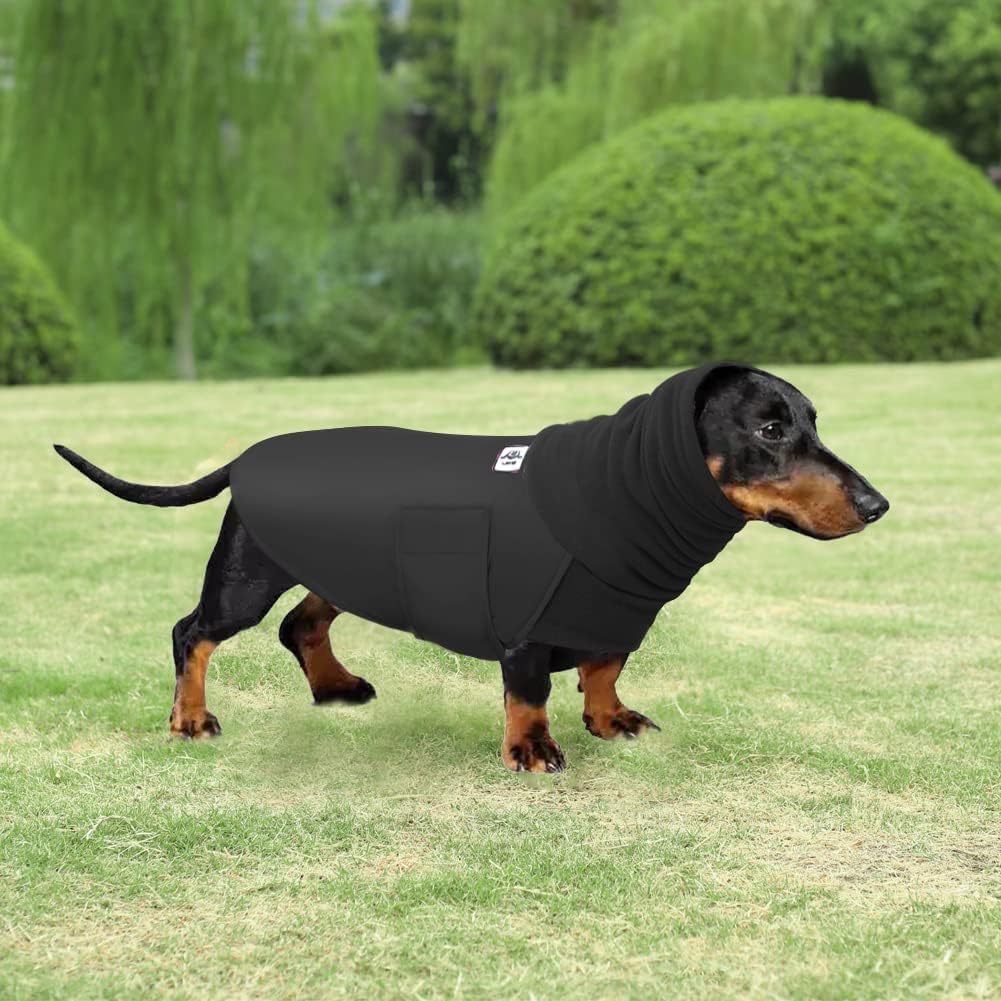 Manteau d'hiver chaud et imperméable pour teckel - Manteau de pluie pour chiens de petite taille (noir, L)