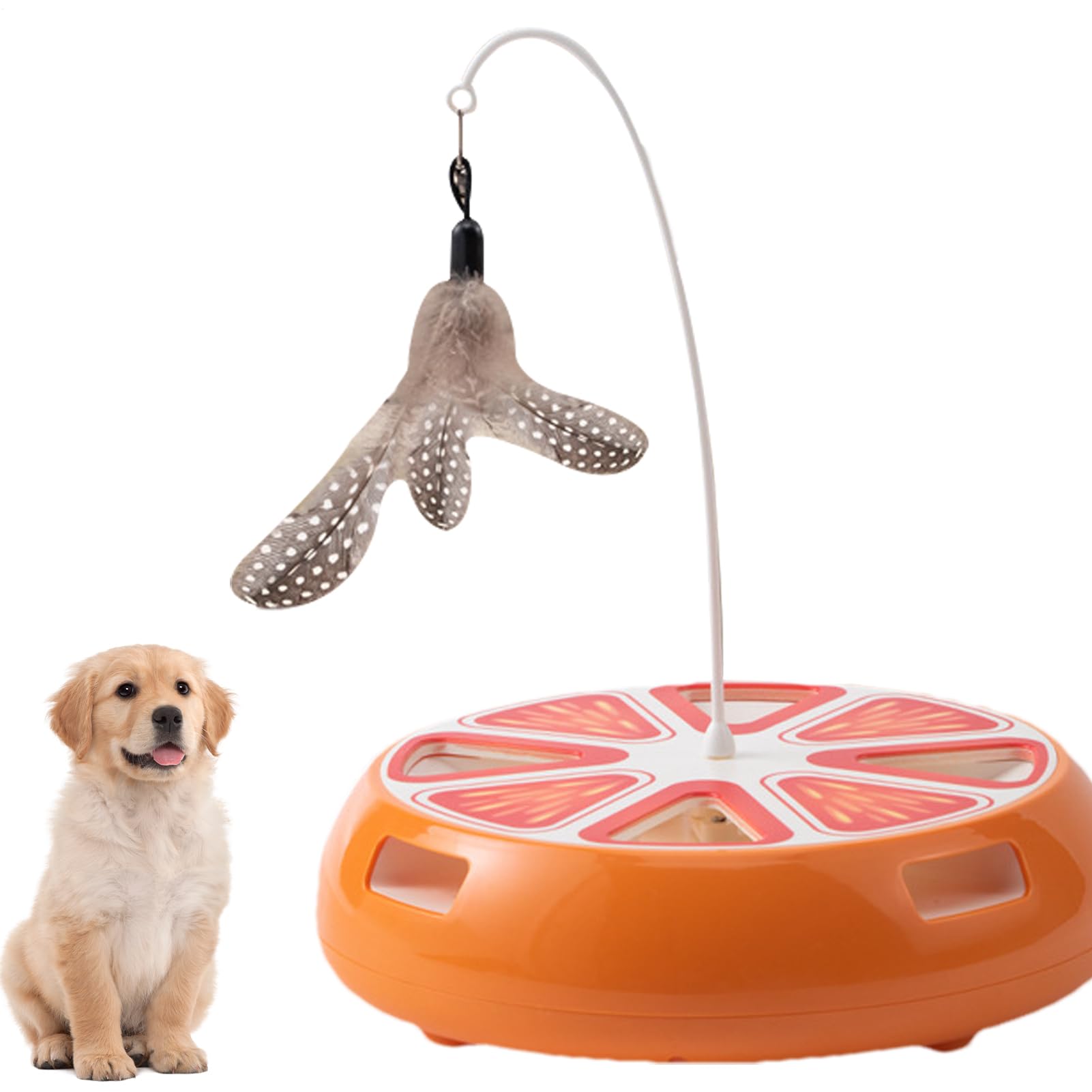 Jouet électronique pour chat stimulation et exercice avec plateau tournant automatique intérieur