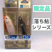 Amazon.co.jp: 限定品 ヒフミクリエイティング レイリア85ss