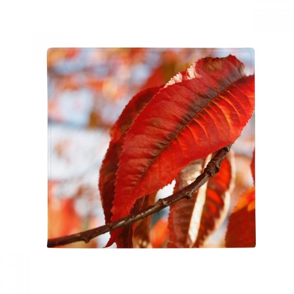 Tapis pour animal feuille d'érable rouge 50x50cm antidérapant multicolore