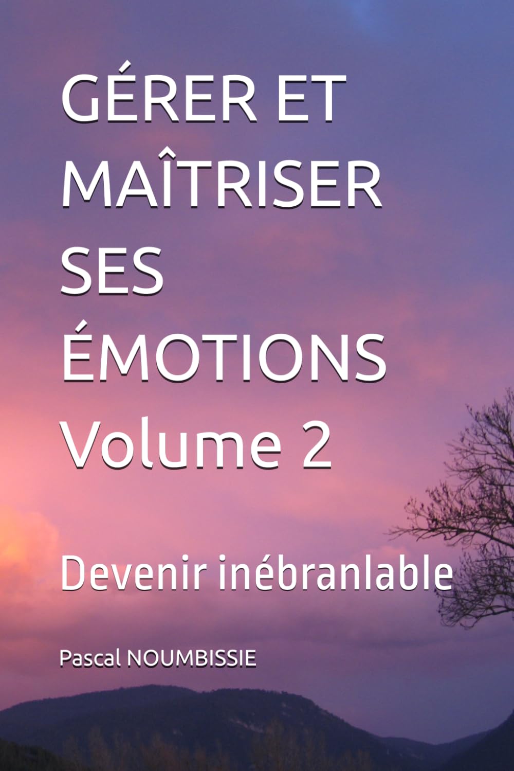 GÉRER ET MAÎTRISER SES ÉMOTIONS Volume 2: Devenir inébranlable