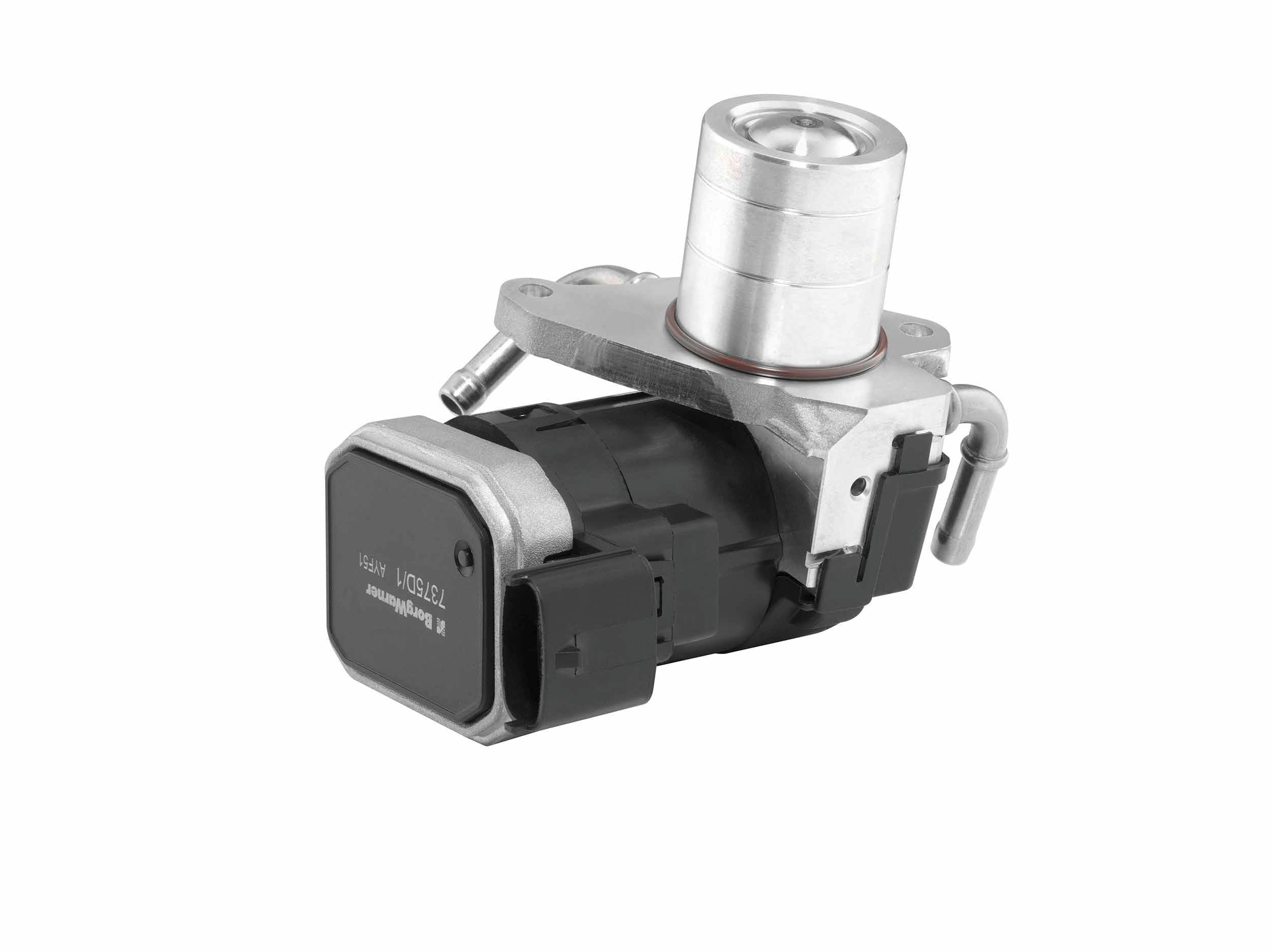 Wahler (BorgWarner) AGR Ventil 7375D – Abgasrückführung