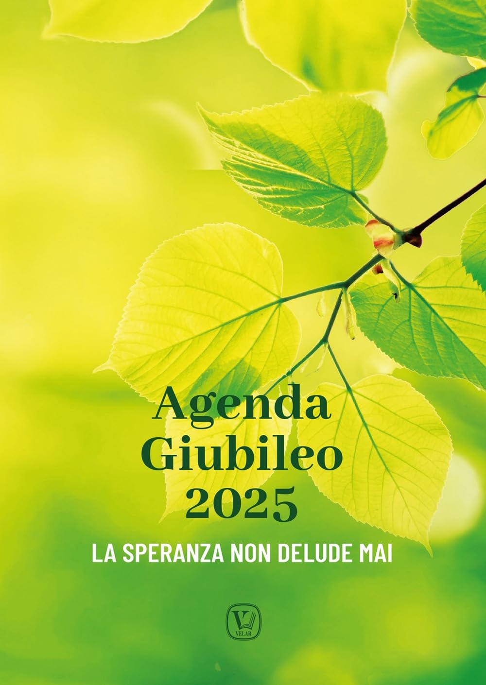 Agenda Giubileo 2025. La Speranza Non Delude Mai - 4