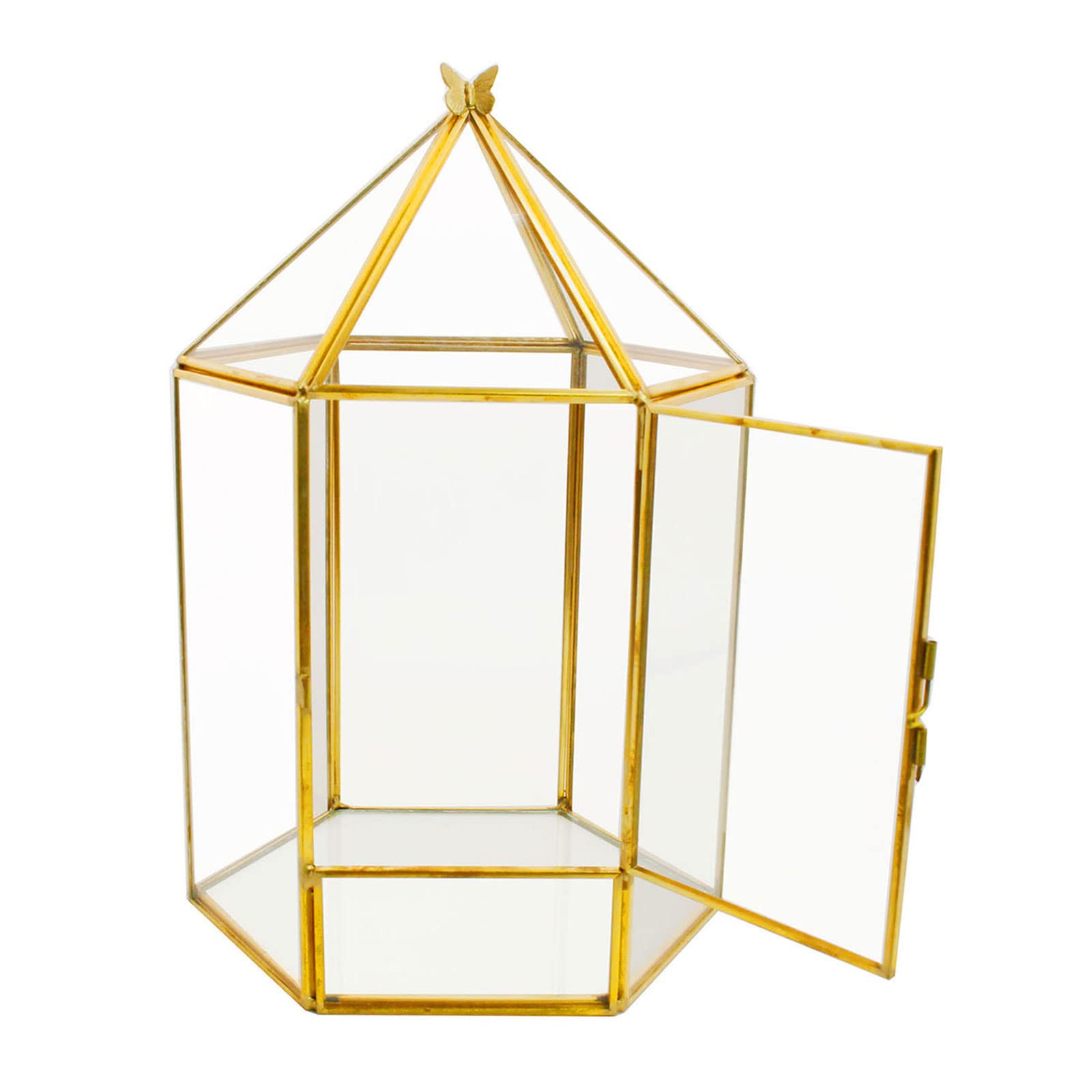 ELEGANTLIFE Terrario geometrico in vetro per piante, piante grasse e aeree, decorazione per casa, giardino, ufficio, senza piante (oro esagonale)