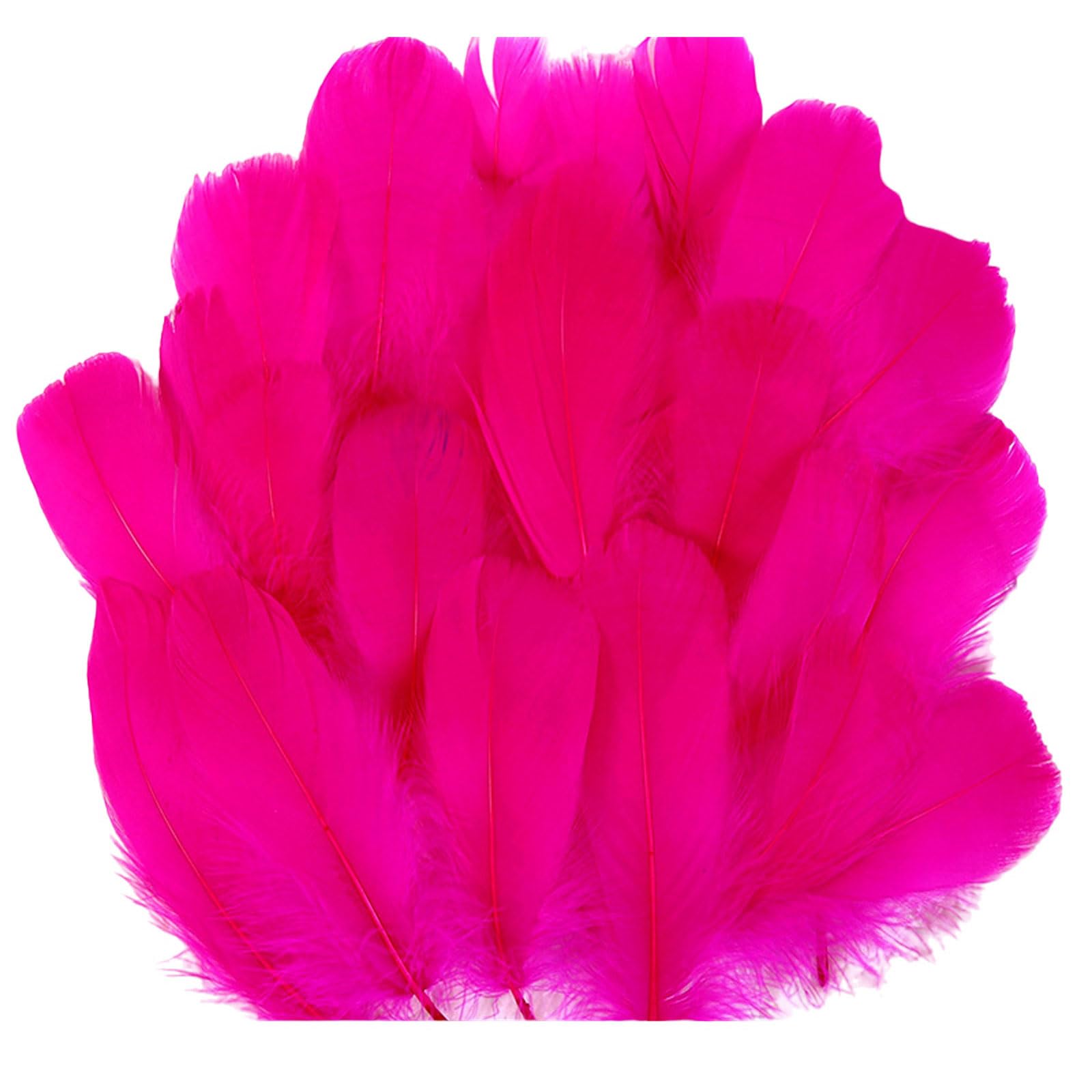 Jazuaiao 100Pcs Colorful Craft Feathered Adornment for Craft Use in Dream Catchers Earrings and Festival Decorations Feathered Decorations