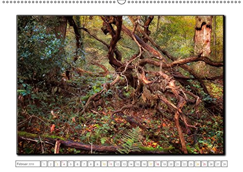 Der Neuenburger Urwald (Wandkalender 2018 DIN A2 quer): Peter Roder mit faszinierenden Bildern aus dem Naturschutzgebiet Neuenburger Urwald im ... ... Natur) [Kalender] [Apr 01, 2017] Roder, Peter
