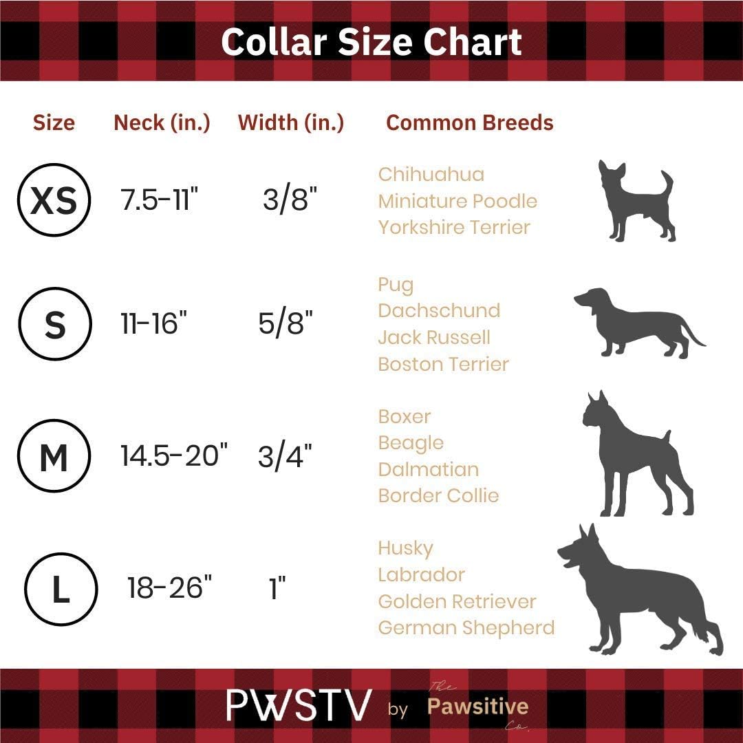 pawsitivity dog harness