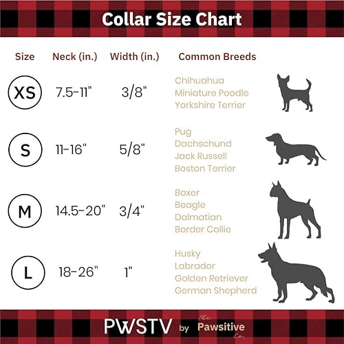 Miniatura 5 de The Pawsitive Co. - PWSTV. Collar y correa de colección para perro  collares y correas de perro (cada uno se vende por separado)., L, Pata de gallo