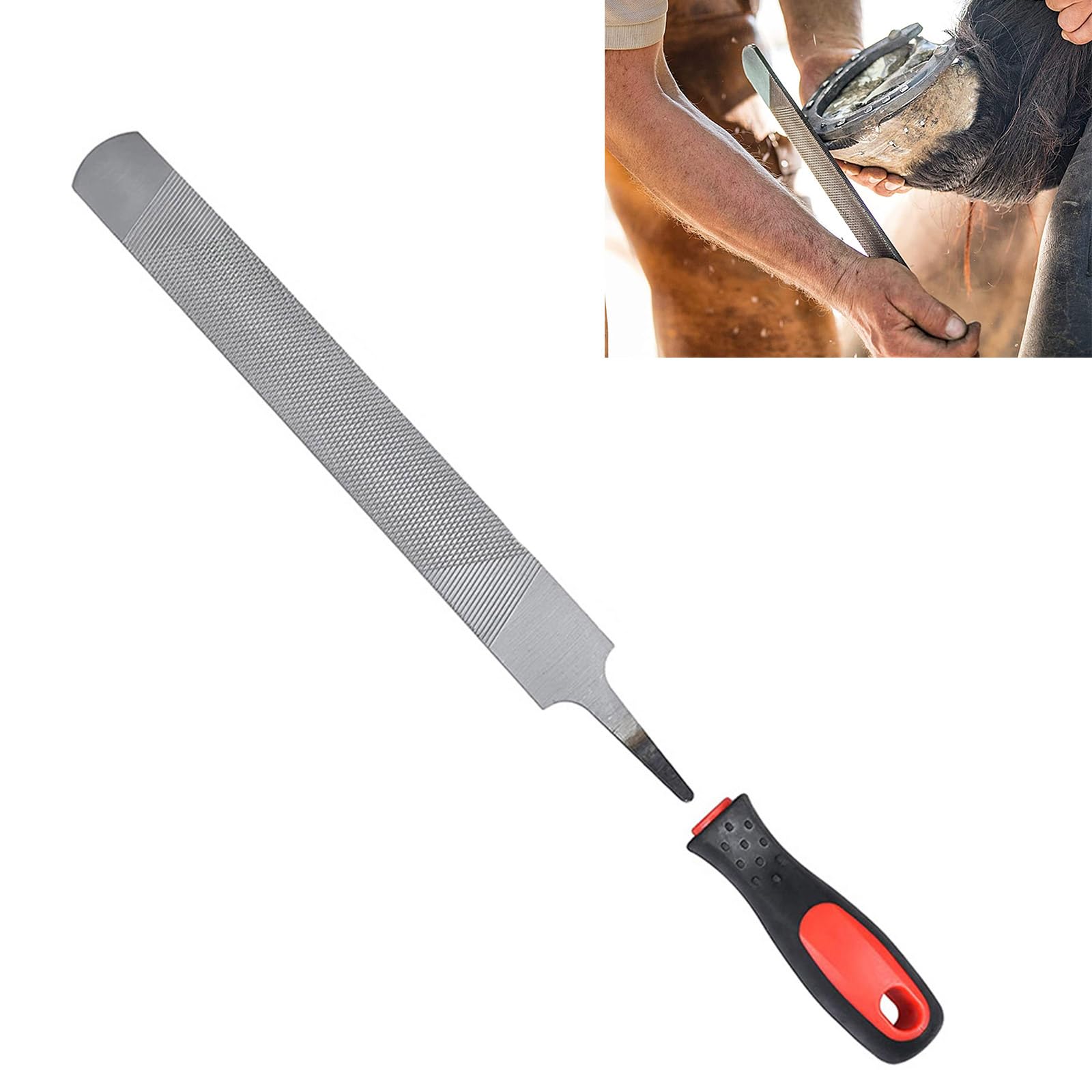 Hufraspel für Pferde, ergonomischer Griff, rostfreier Stahl, leichtes Design, tragbares Huftrimmwerkzeug