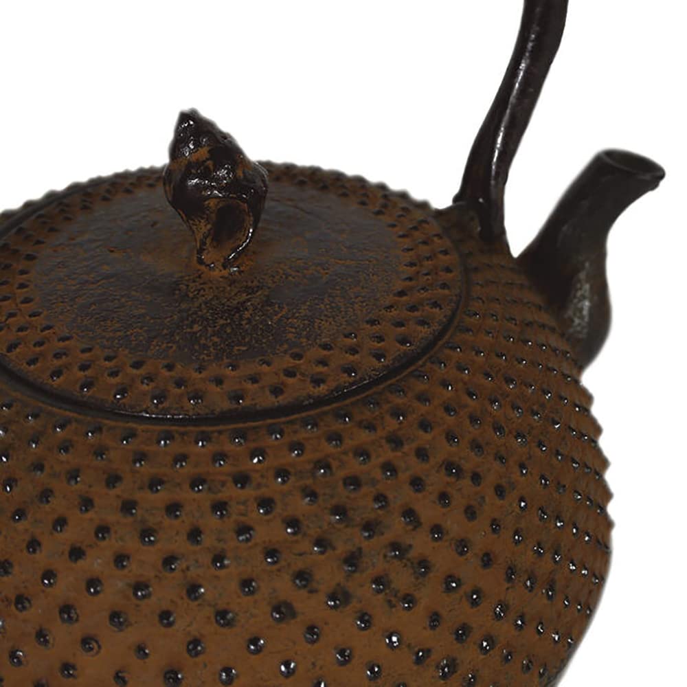 Amazon | 南部鉄器 南部鉄瓶 『丸形 貝 錆色』 1.1L | ノーブランド品