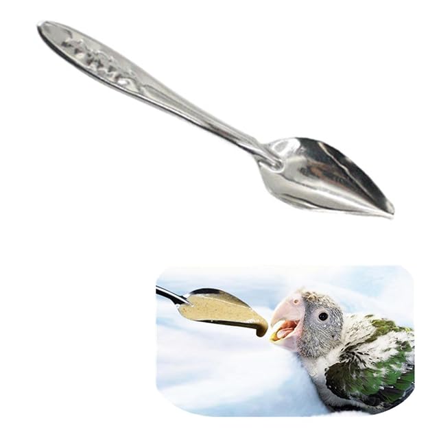 Foto 5 de 8 de Gusengo Cuchara comedero para Loros,10 Uds Medicina Cuchara alimentación Manual para peonía