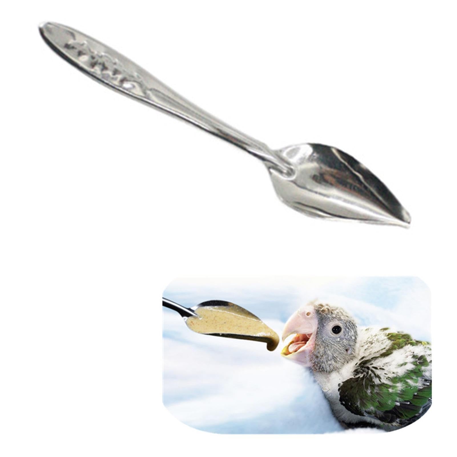 Amazon.co.jp: 金属製の鳥の餌スプーン | 10 個の金属鳥ミルクスプーン
