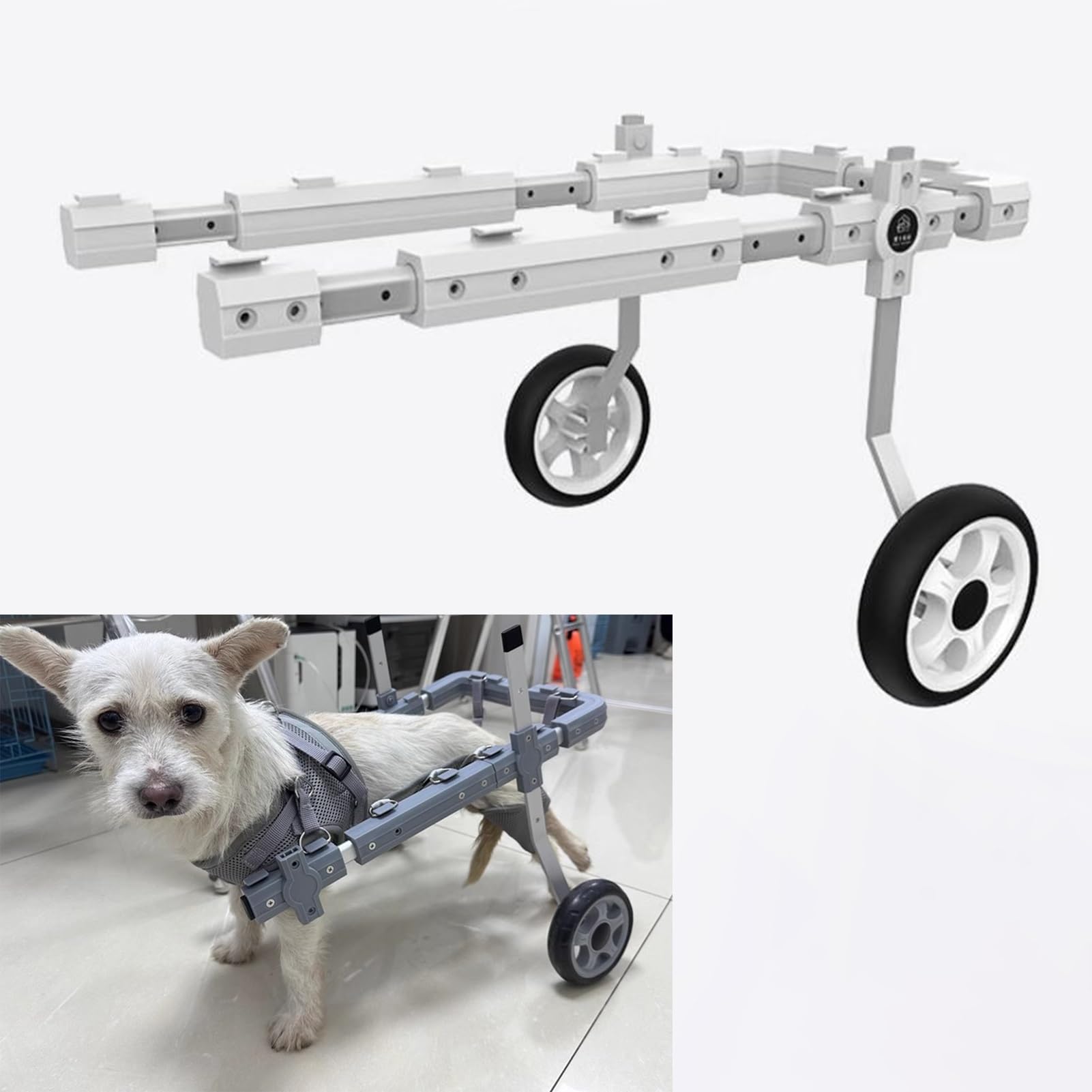 Fauteuil roulant léger pour chien handicapé rééducation pattes arrière
