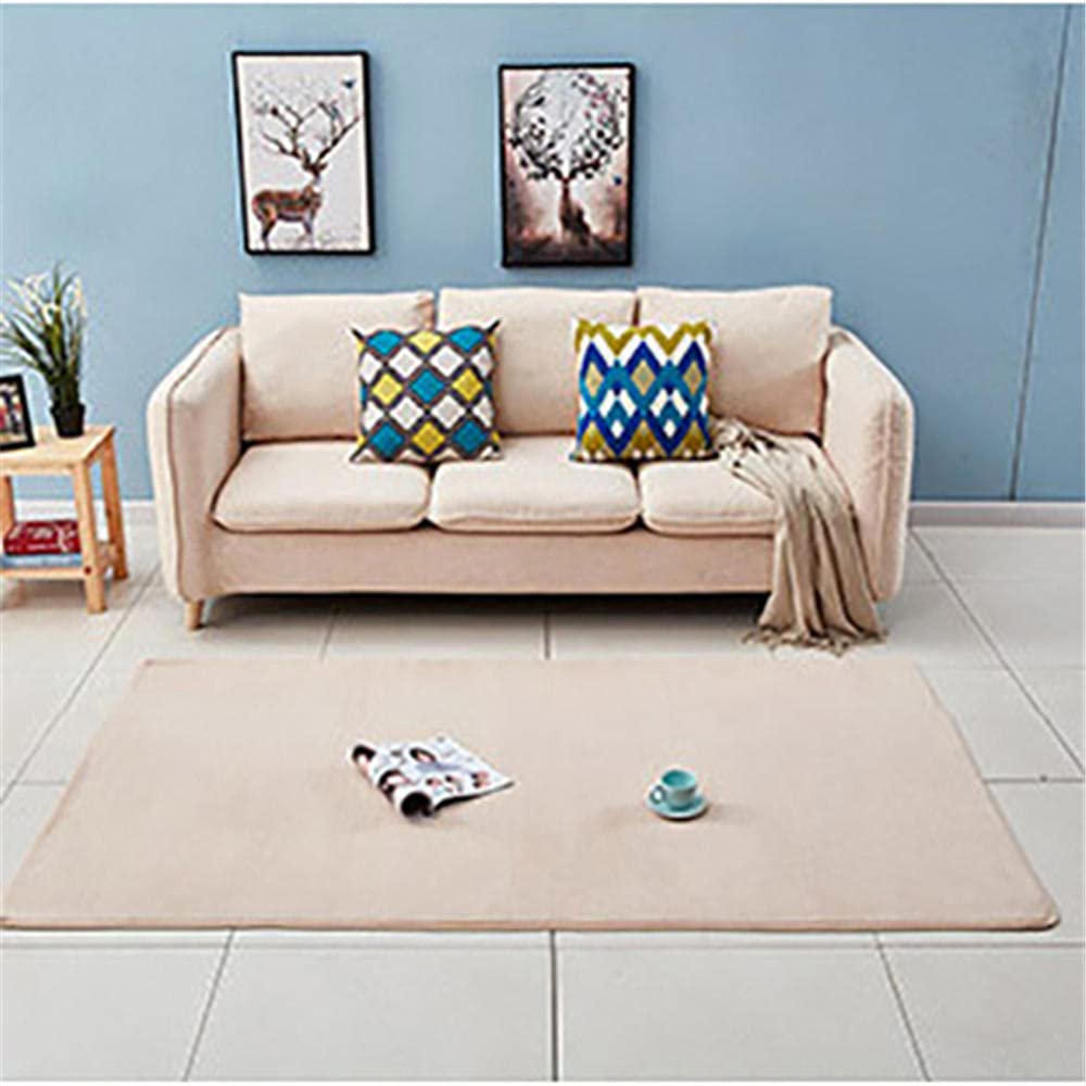 Alfombra de terciopelo coral de alta calidad, 100 x 200 cm, espuma viscoelástica suave, esponjosa, antideslizante, lavable, clásica, beige, alfombra para sala de estar, yoga, zona de juegos para niños