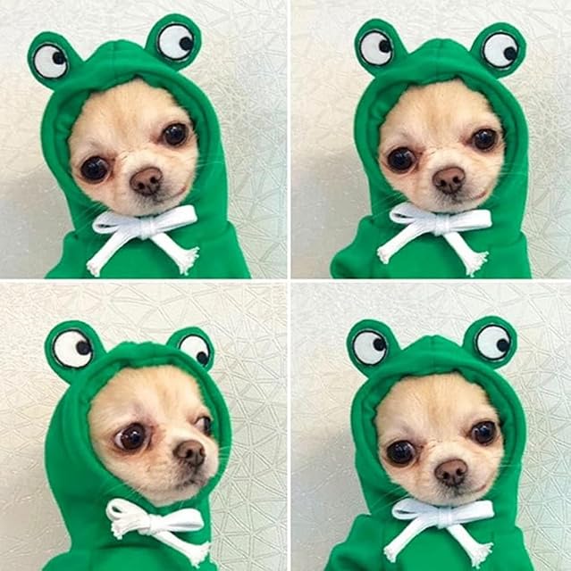 Foto 3 de 6 de Disfraz de rana para mascotas, disfraz de perro de Navidad