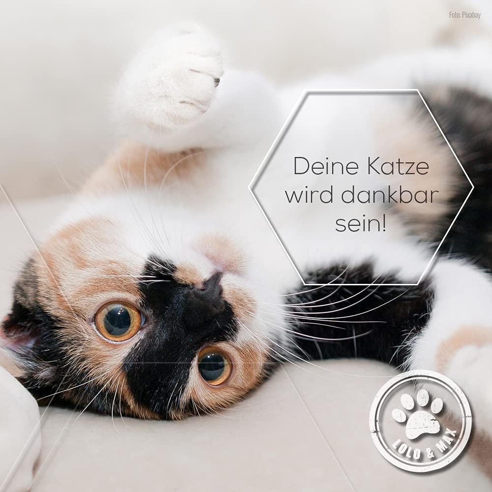 Lolo & Max - Floh- und Zeckenmittel für Katzen 100% Natürlicher Spot On - Bis zu 8 Monate Abwehr & Bekämpfung von Flöhen & Parasiten (Zecken,Milben,Läuse,Haarlinge,Wanzen) - Mittel gegen Flöhe - 40ml