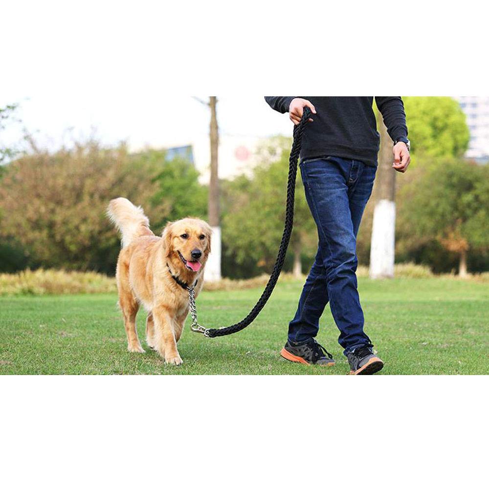 REYG Laisse De Dressage pour Chiens Laisse De Dressage pour Chiens à Double Extrémité pour Collier De Tête Et Harnais sans Tirette Laisse De Dressage Noire pour Petits Chiens Et Chiens,Black