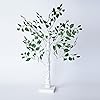 Product Photo 5
