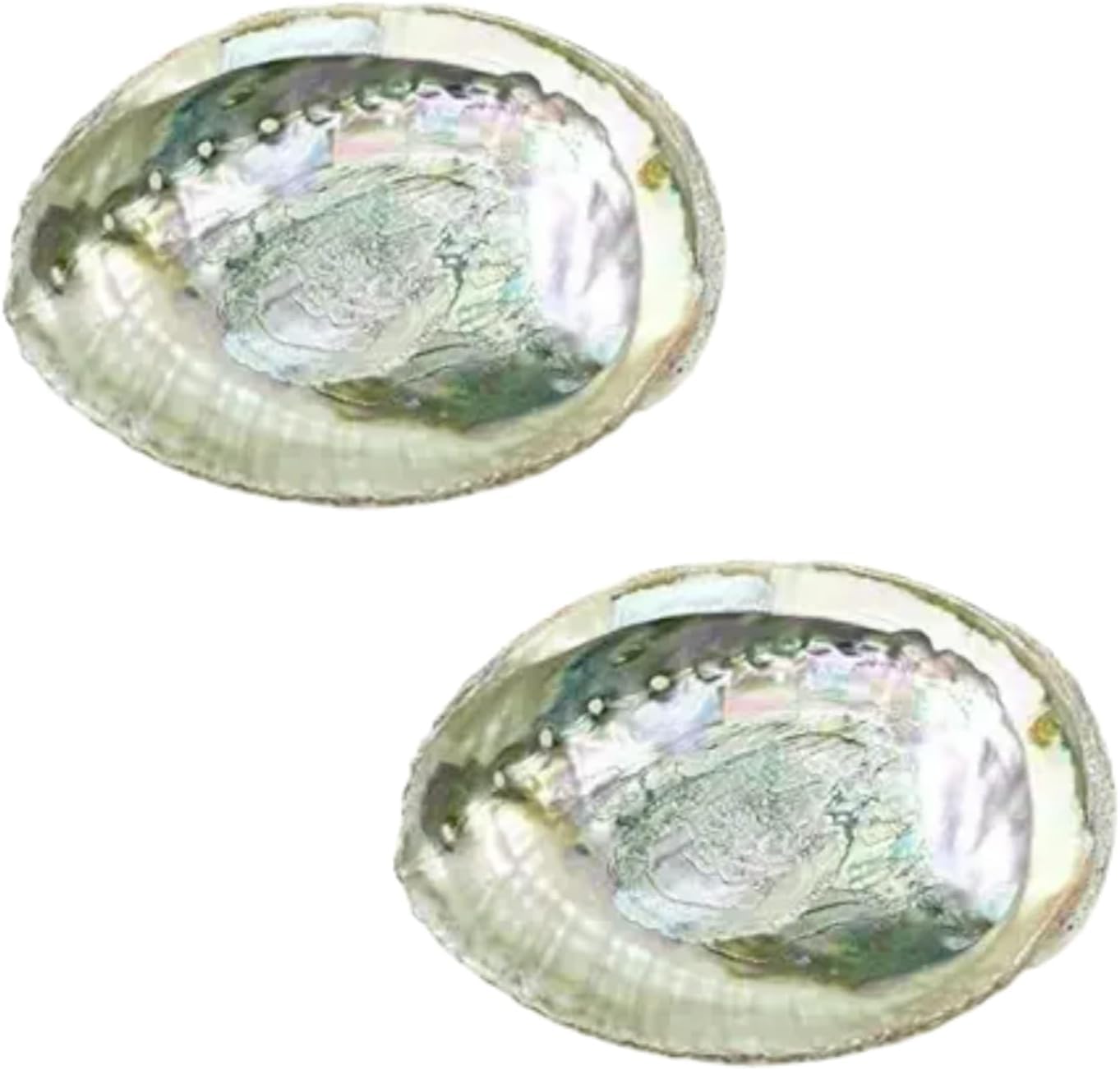 2Pcs Colorful Fashionable Large Abalone Shell Bowl, 4-4.5 Inch Exquisite Natural Sea Shell Smudge Bowl for Sage Burning and Incense for Decor, Display and Great Gift, Incense Holders, Decorations