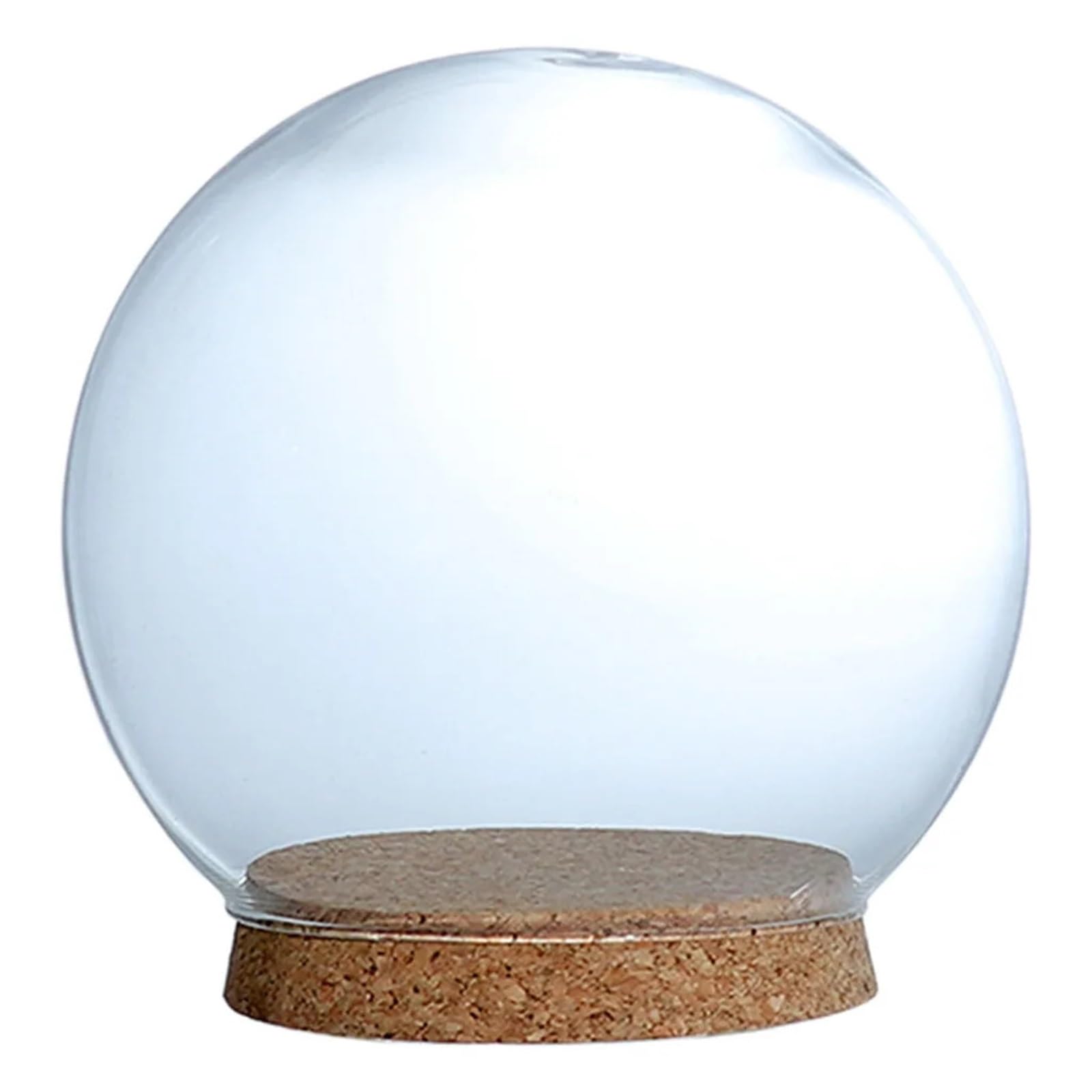 LOMNCHSG Glass Cloche Dome, Glass Cloche Dome Bell Jar Flower Preservation Vase with Wooden Base for Display