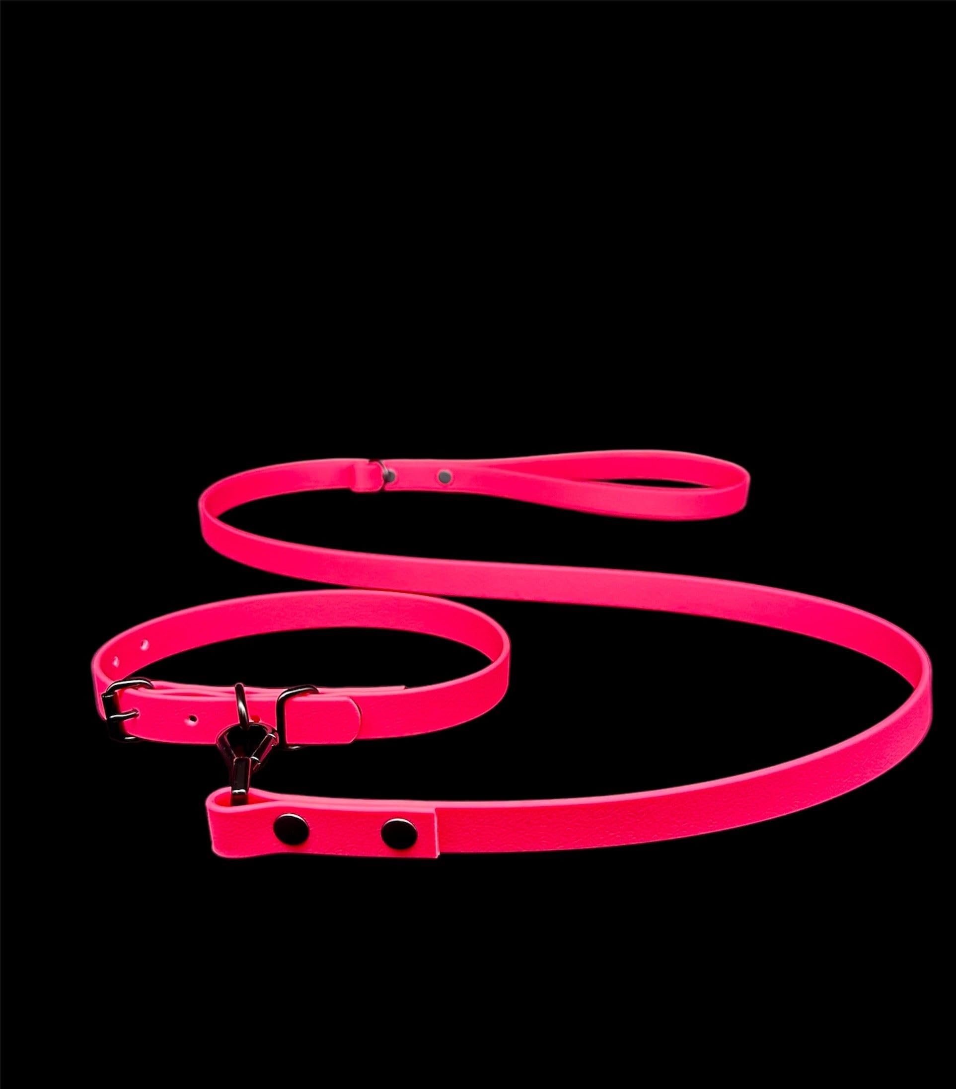 Waterproof Biothane Dog Lead & Collar Set | Metal Buckle | Black Rivets | Ultra Durable…
