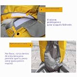 Ver la foto 4