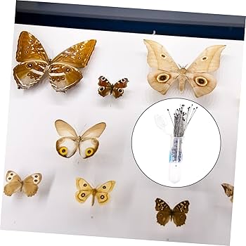 【コエポン】お取り置き品 昆虫標本 志賀昆虫普及社 志賀昆虫 標本作成セット(中型標本箱付き) 66895