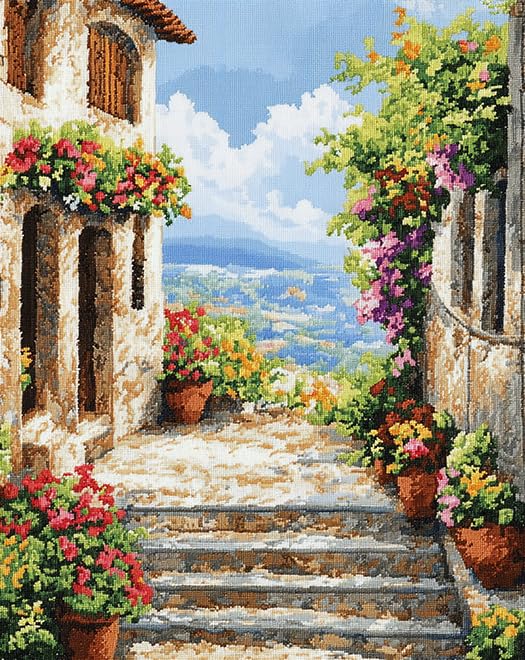 XDEGHUANGSS Cross Stitch Kits for Adults Beginners,Full Range of Cross-Stitch Stamped Kits Needlepoint Kits for Beginners 11CT Cross Stitch Patterns-Flowers in Front of Door,40x50 cm