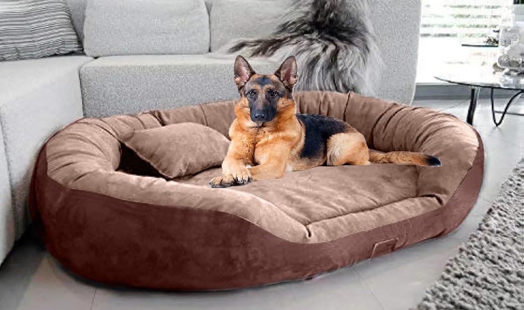 DRILLY Premium Fur Washable Dog/cat Bed with Blanket for Small |Medium |Large | Extra Large | XXL |XXXL | 4XL Size Dogs | Cats | Puppy | pet | Rabbit | Persian cat | Indoor cat(L) (B0D9NLJVWN) Amazon Price History, Amazon Price Tracker