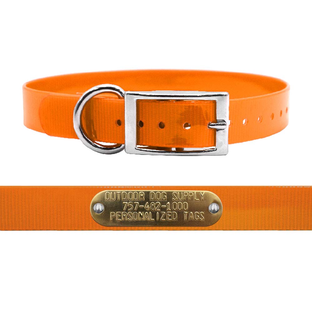 Outdoor Dog Supply Waterproof Dog Collar