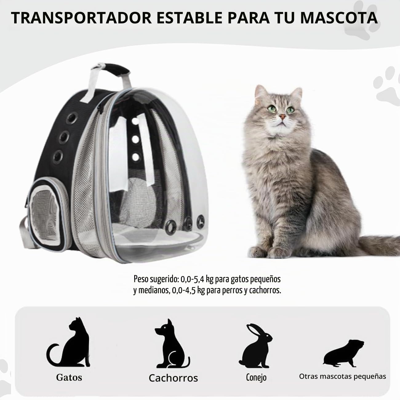 Mochila para Gatos,Mochila Gato,Mochila Cápsula para Mascotas,Mochilas para Gatos y Perro Transportin Gato Expandible y Plegable (Black, Medium, hacia adelante)
