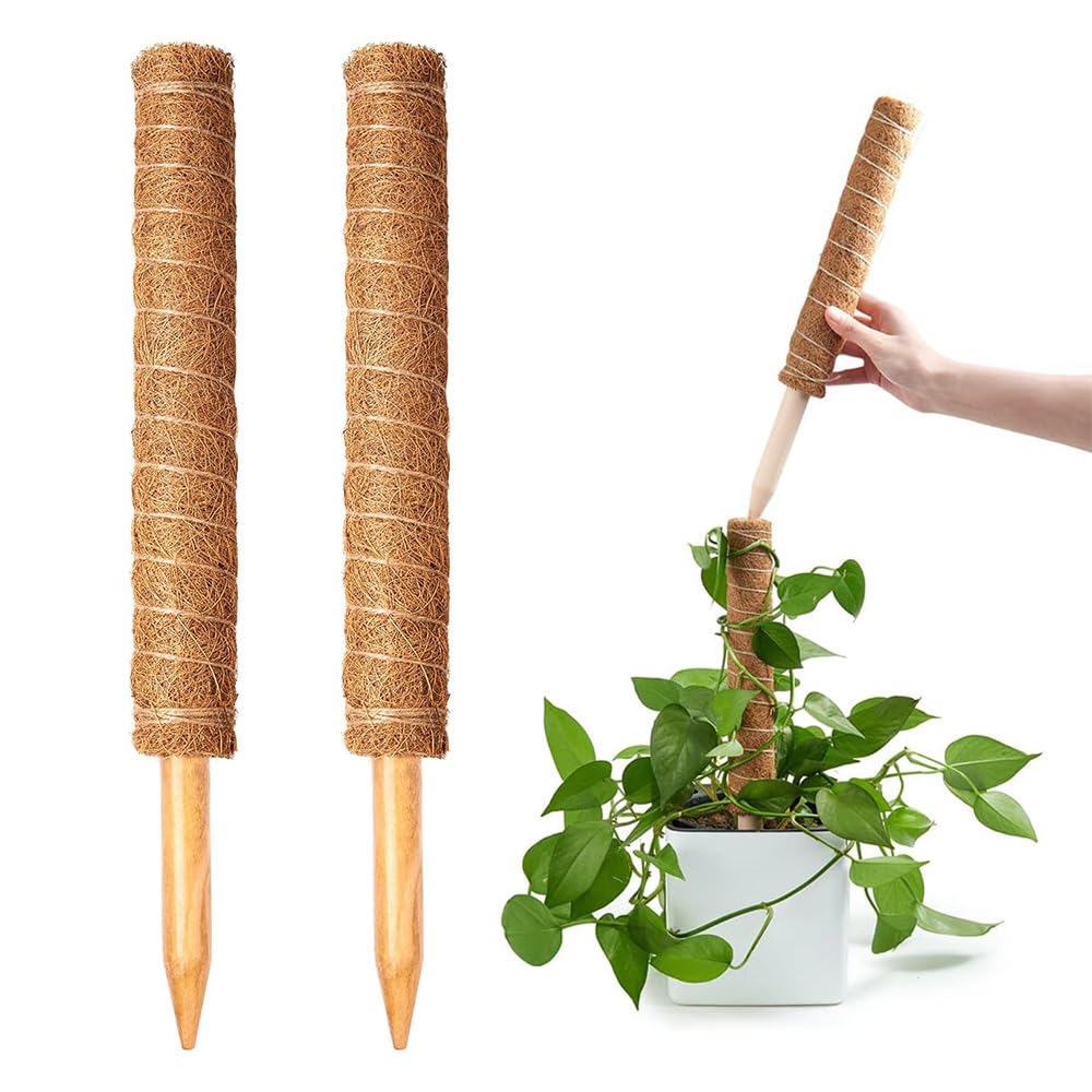 AGANIC - Moss Stick for Plants Money Plant Stick Plant Holder Stick Plant Support for Climbing Plants Gardening Items Accessories Garden Sticks for Plants - Moss Pole for Plants Coco Peat (Pack of 2) (B0DCG17R4H) Amazon Price History, Amazon Price Tracker