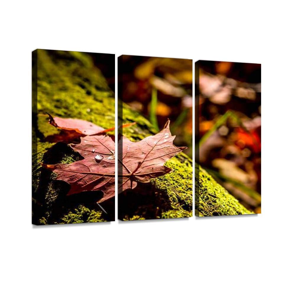 BELISIIS feuilles Rouge, Mousse Verte mosss and Pictures Wall Artwork Exclusive Photography Vintage Abstract Paintings Print on Canvas Home Decor Wall Art 3 Panels Framed Ready to Hang