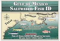 Gulf of Mexico Saltwater Fish ID 0974909165 Book Cover