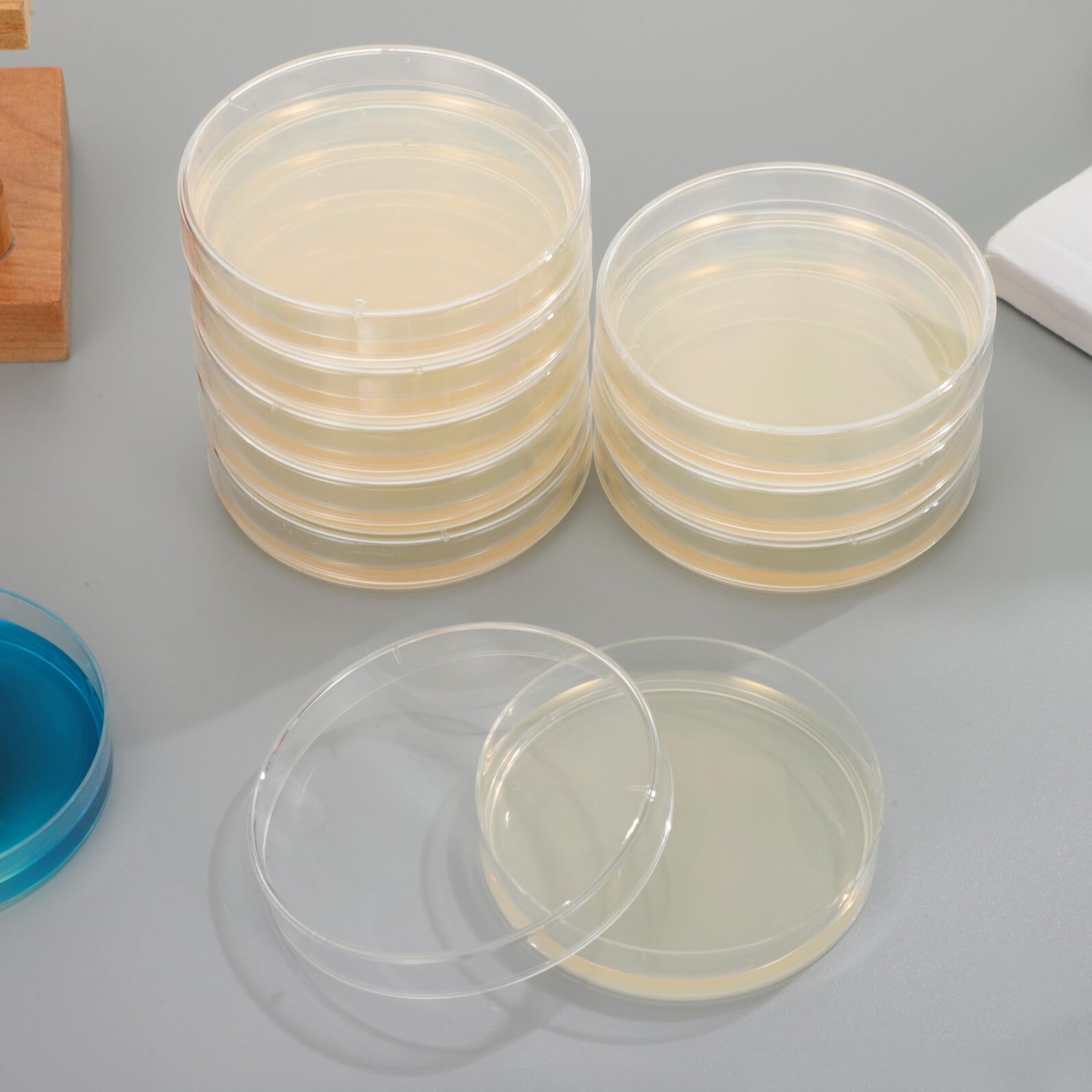 Piastre Petri con Agar Preversato 7cm, 20 Pezzi per Laboratorio | Materiale Agar, Scenari di Coltivazione e Ricerca, Formato Pronto All’uso, Confezione da 20 Pezzi